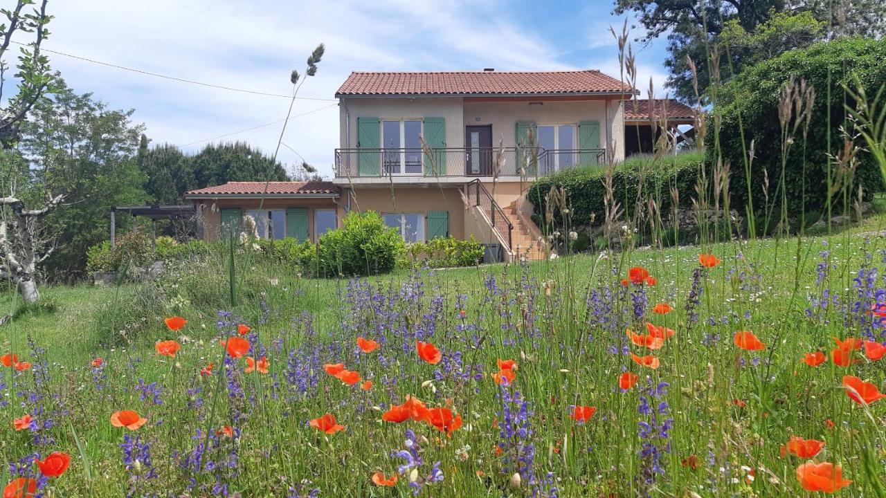 Excellent Sarlat Villa Buitenkant foto